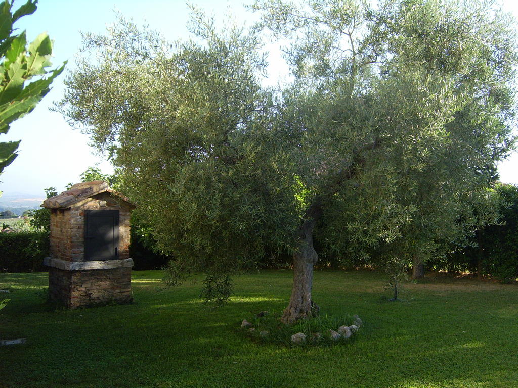 Agriturismo Regno Verde Нарни Экстерьер фото